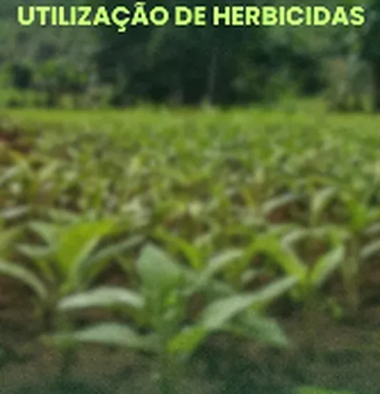 Trilha de herbicidas na AgroSegPlay